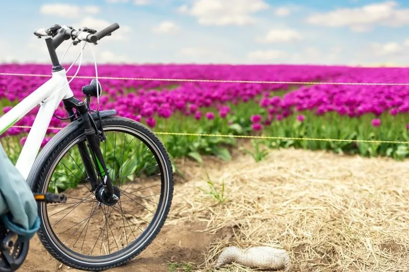 Rädern ins Frühjahr Niederlande