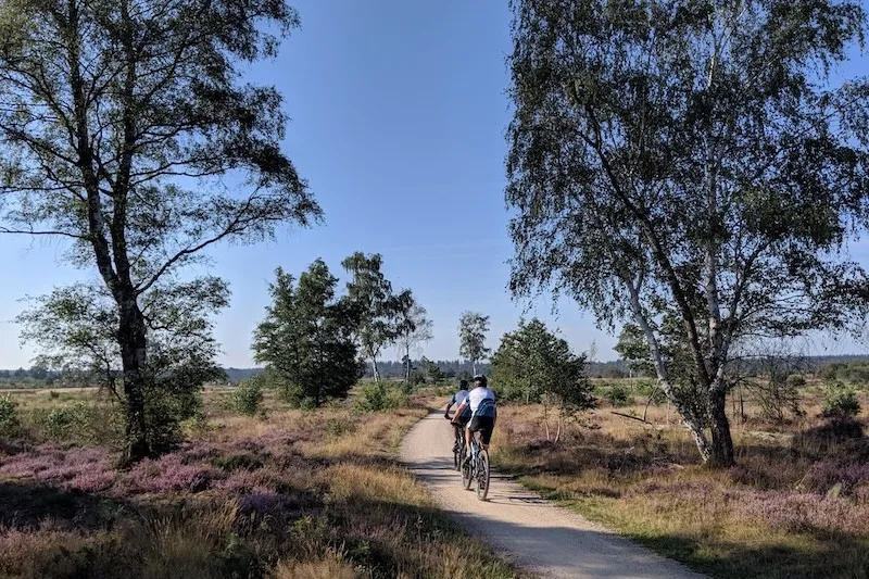 Veluwe - Radfahren