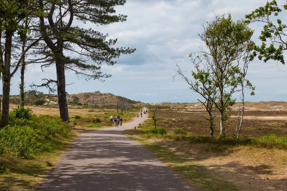 Dünen Noordwijk