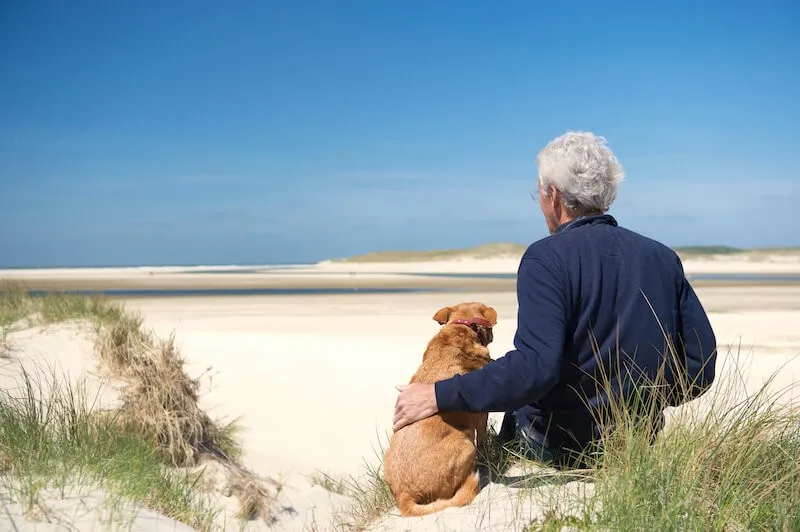 Zahlreiche Gäste mit Hund aus Deutschland