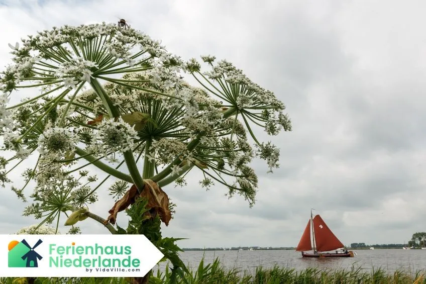 Sneekermeer Spazieren