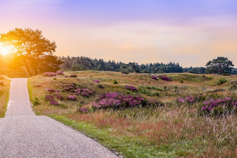 Radfahren und Natur entdecken