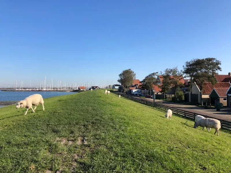 Herbst Hindeloopen Friesland