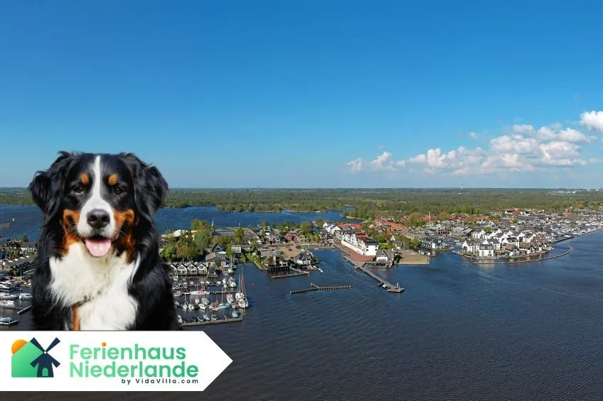 Urlaub mit Hund an den Loosdrechtse Plassen