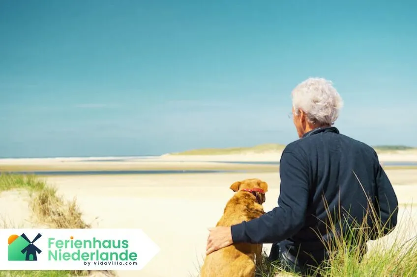 Hund am Strand Niederlande