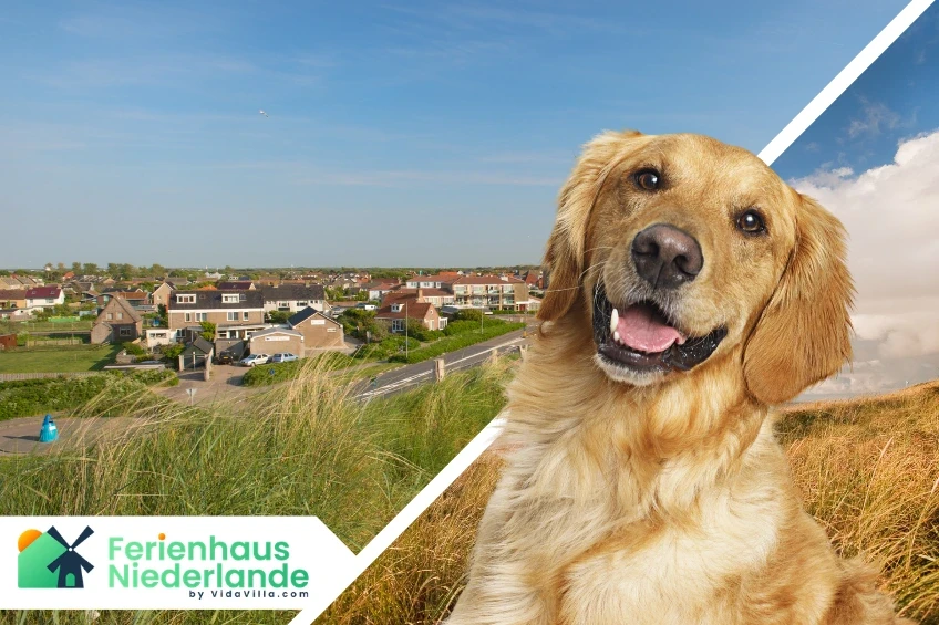 Callantsoog mit Hund