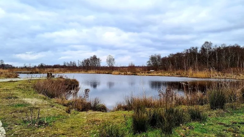 Binnenlande Niederlande