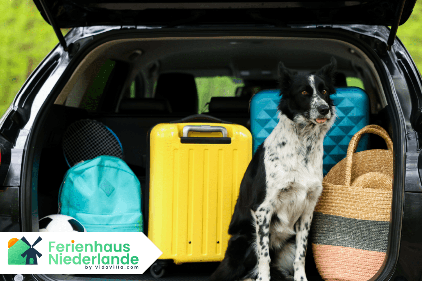 Urlaub mit Hund in den Niederlanden – der große Ratgeber