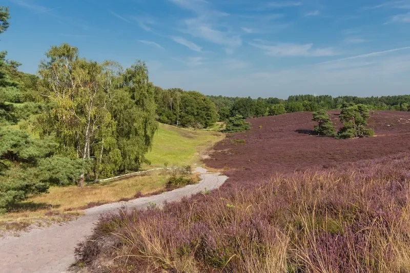 Südlimburg – Natur, Hügel und besondere Atmosphäre