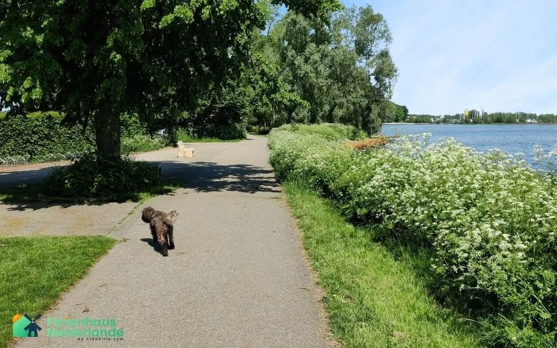 Spazieren IJsselmeer Niederlande