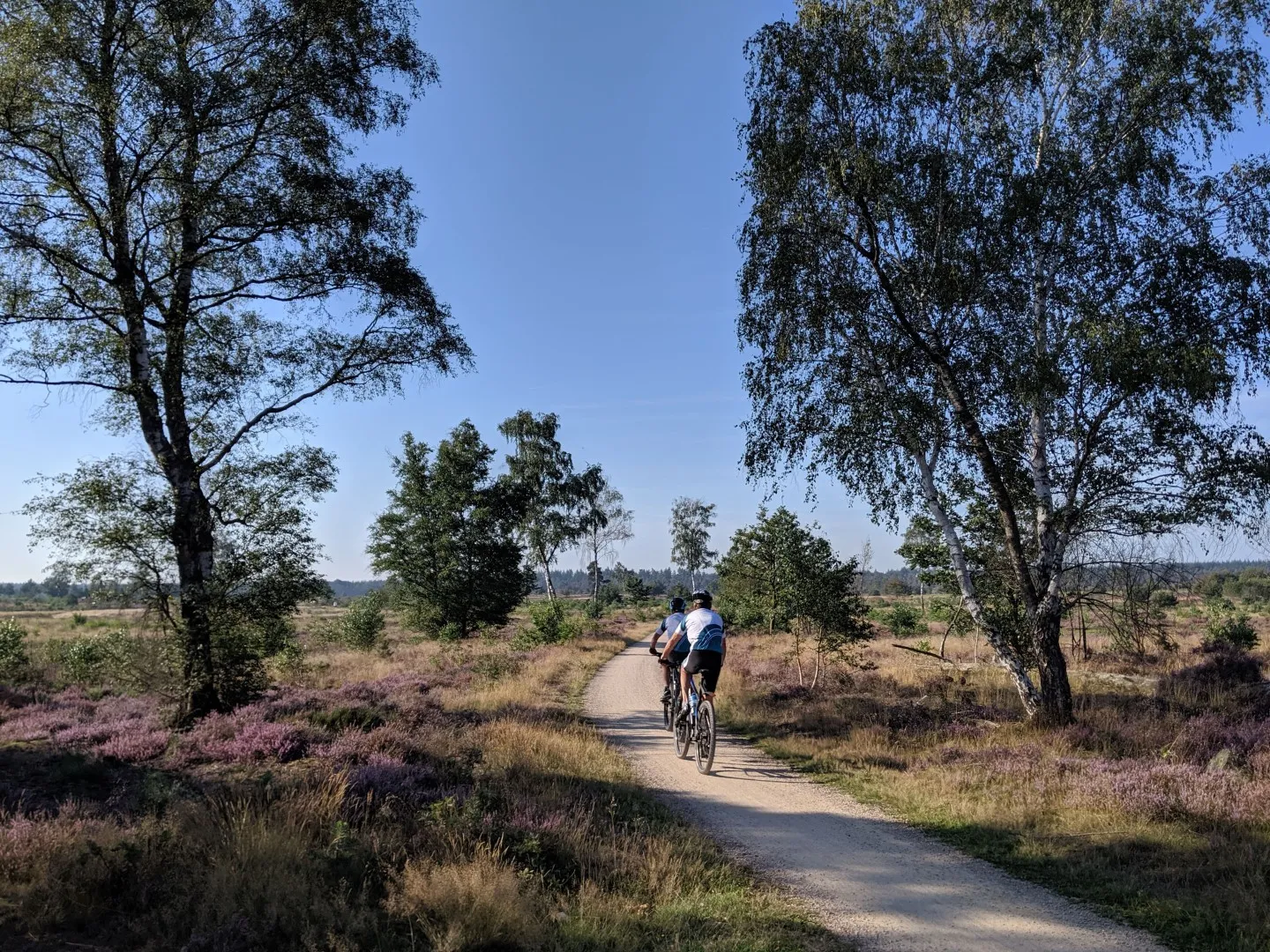 ​​​​​​​Beliebte Regionen zum Radfahren