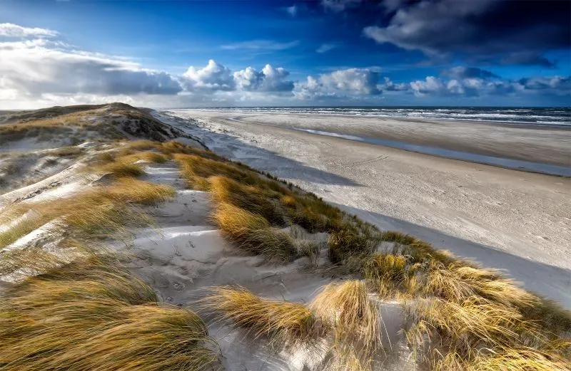 Dünen von Texel