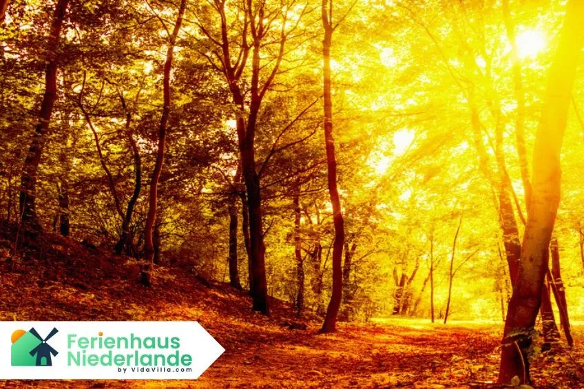 Herbstferien in den Niederlanden