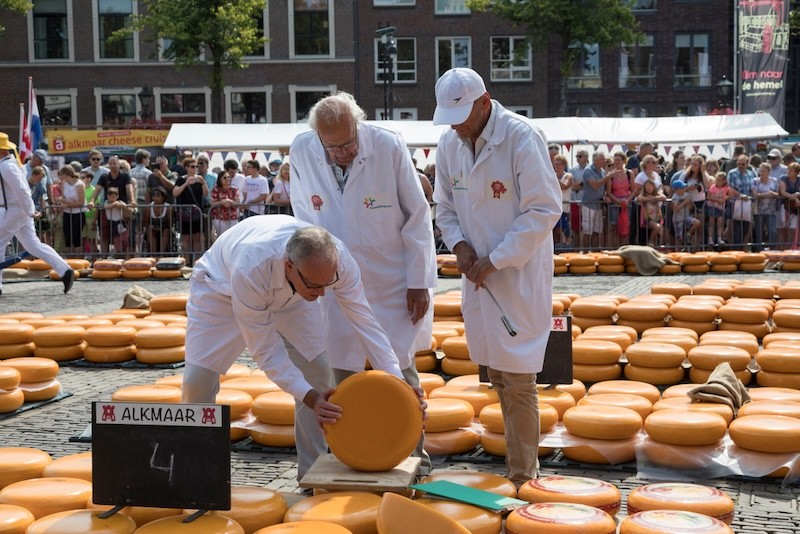 Käsemarkt in Alkmaar