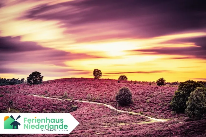 Top 10 Sehenswürdigkeiten in Gelderland