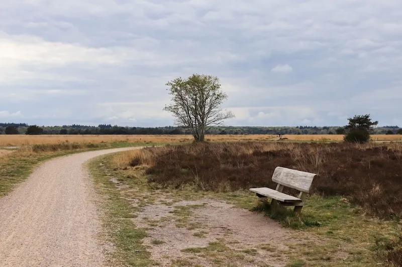 Veluwe - Niederlande
