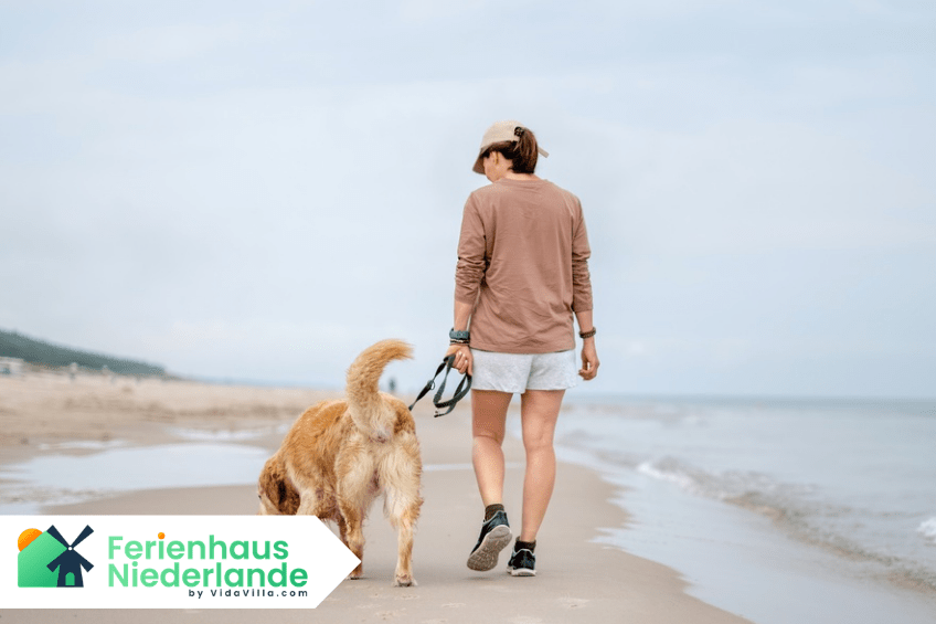 Herbstferien in den Niederlanden