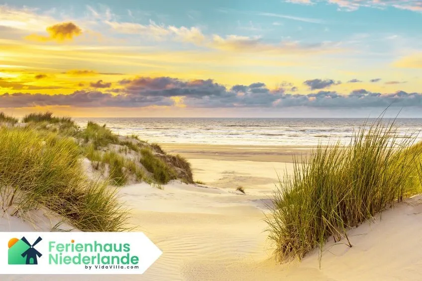 7 gute Gründe für einen Urlaub in Holland!