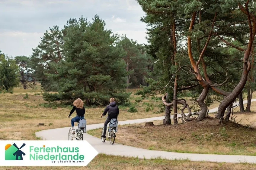 Radurlaub Veluwe