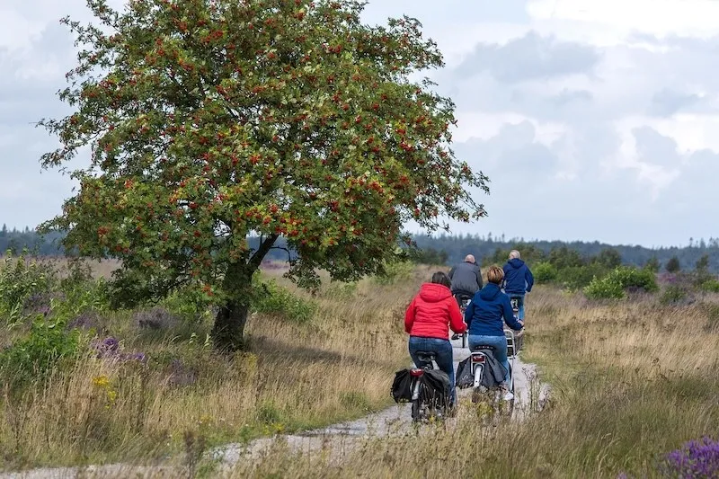 Drenthe Fahrradprovinz