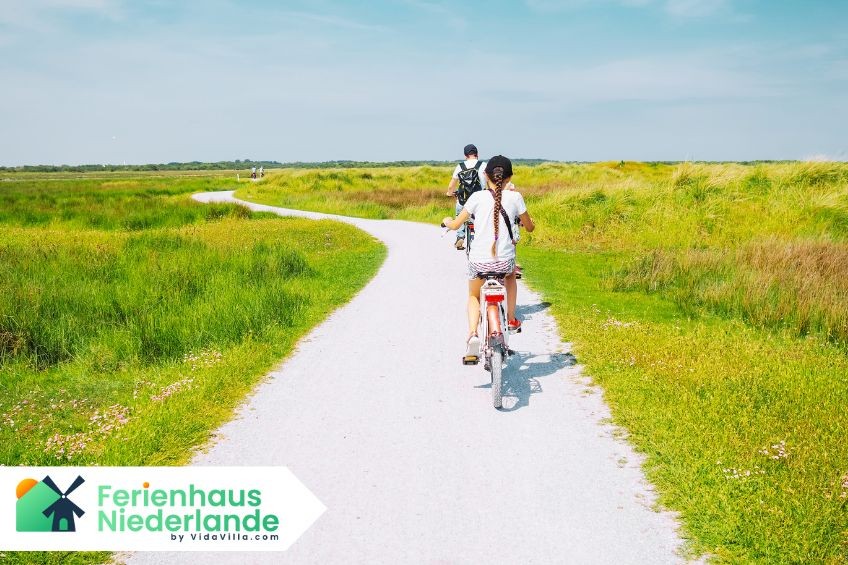 Die schönsten Radregionen der Niederlande – Offizielle Radrouten im Überblick