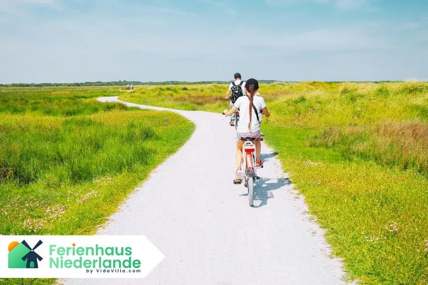 Die schönsten Radregionen der Niederlande – Offizielle Radrouten im Überblick