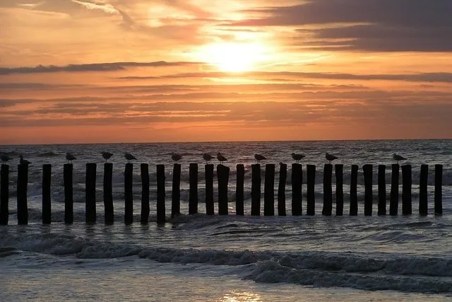 Cadzand Zeeland