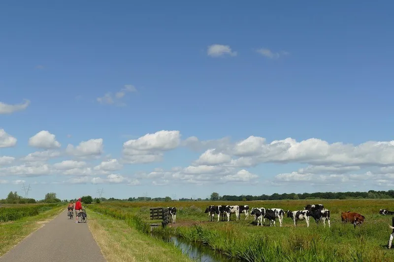 Einzigartig: Radfahren an der Küste der Niederlanden