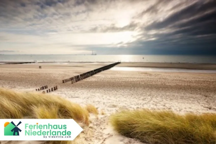 Die 10 schönsten Strandorte in Holland – von Julianadorp&nbsp; bis Cadzand-Bad