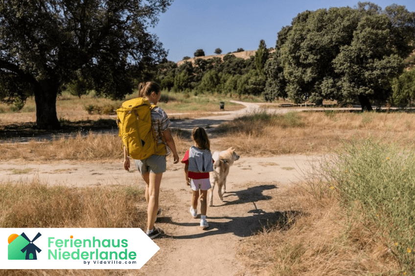 Welche Regionen in Holland eignen sich am besten für einen Urlaub mit Hund?