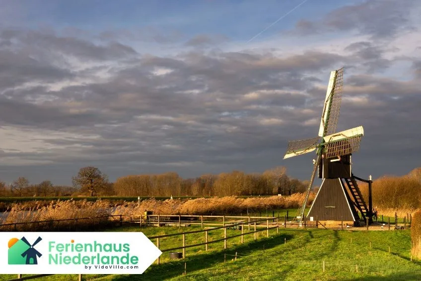 Folllega Friesland Niederlande