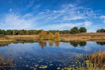 Nationalpark De Meinweg