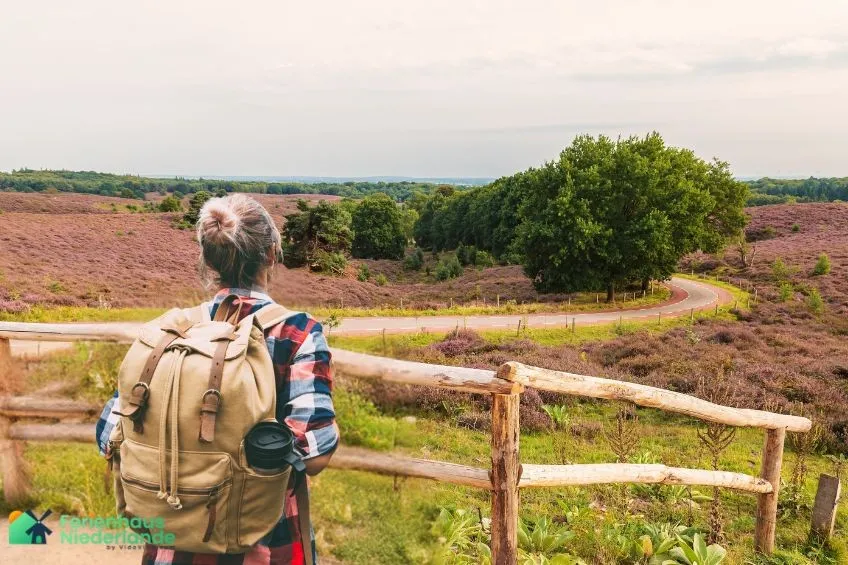 Wandern Veluwemeer Niederlande