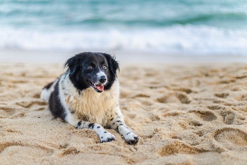 Frei am Strand