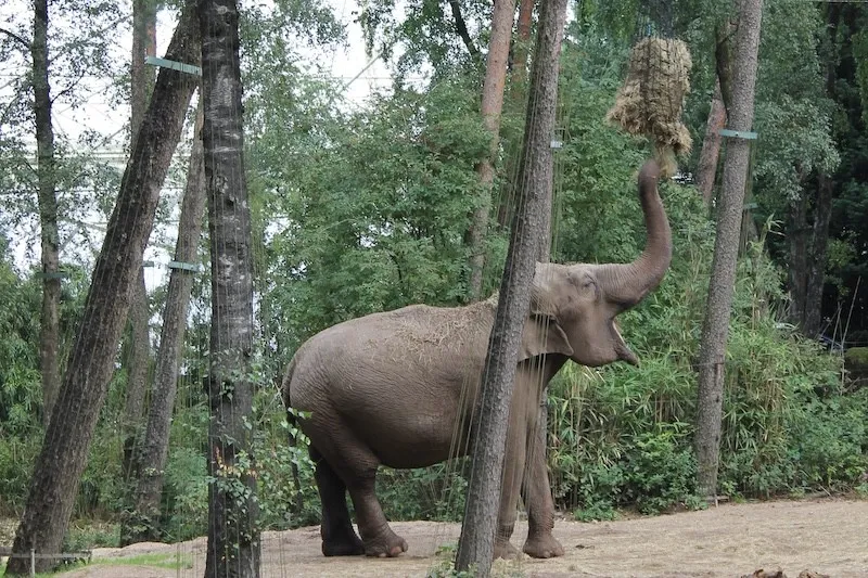 Burgers’ Zoo Arnhem