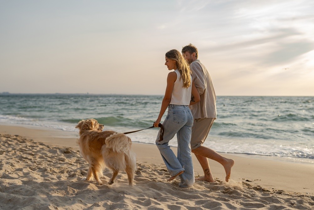 Oostkapelle: besonders vielseitig mit Hund