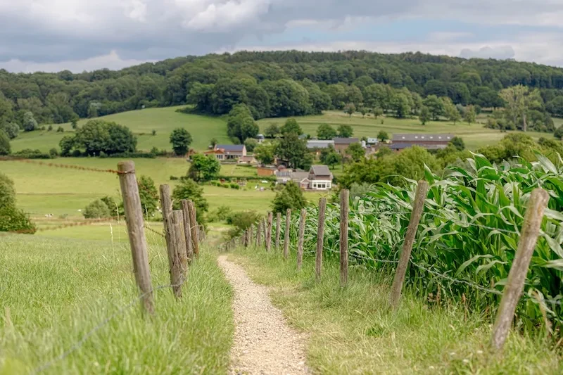 sanfte Hügellandschaft in Limburg
