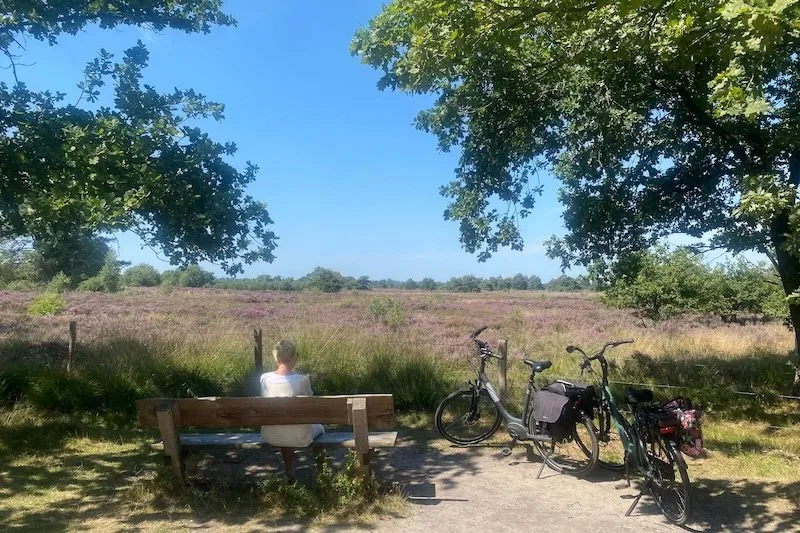 Veluwe - Gelderland