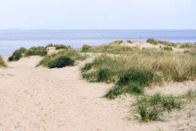 Dünen Zoutelande