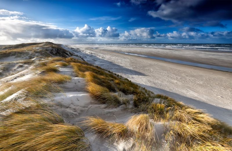 Urlaub mit Hund auf Texel
