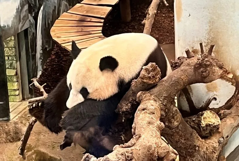 Ouwehands Dierenpark, Rhenen
