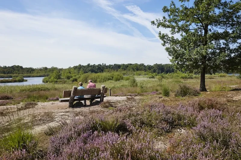 Ferienhaus Nordbrabant – Ihr Urlaub in den Niederlanden