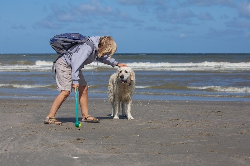 Nieuwvliet: mehr Ruhe und viel Strand